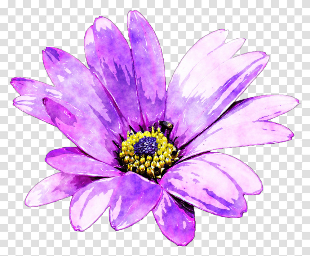 Watercolour Flower Image Free Stock Purple Flowers Watercolor, Plant, Pollen, Daisy, Daisies Transparent Png