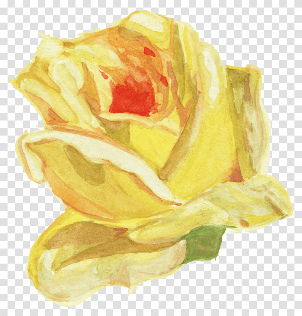 Watercolour Flower Image Library Stock Watercolor Fresh, Rose, Plant, Blossom, Petal Transparent Png