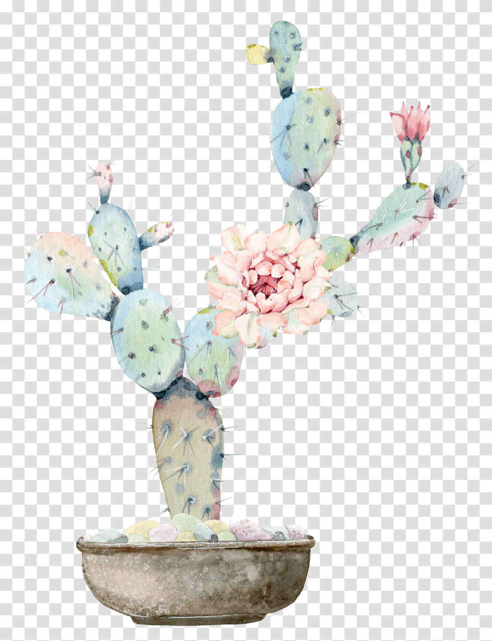 Watercolour Flowers Watercolor Painting Cactus Transparent Png