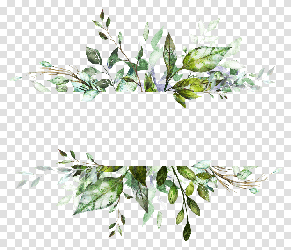 Watercolour Leaf Frame Transparent Png