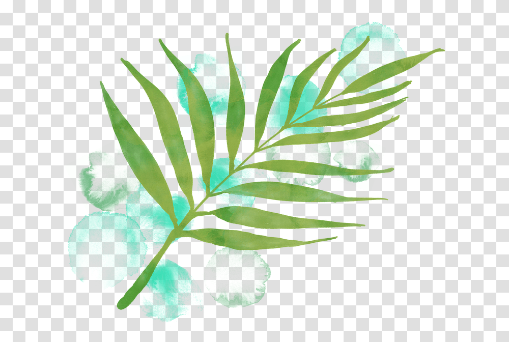 Watercolour Leaf Watercolor Watercolor Painting, Plant, Vegetation, Green, Fern Transparent Png