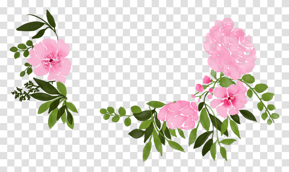 Watercolour Watercolor Floral Rosa Glauca, Plant, Flower, Blossom, Geranium Transparent Png