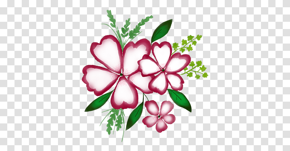 Watercolour Watercolor Flower Free Image On Pixabay Gilliflower, Plant, Geranium, Blossom, Petal Transparent Png