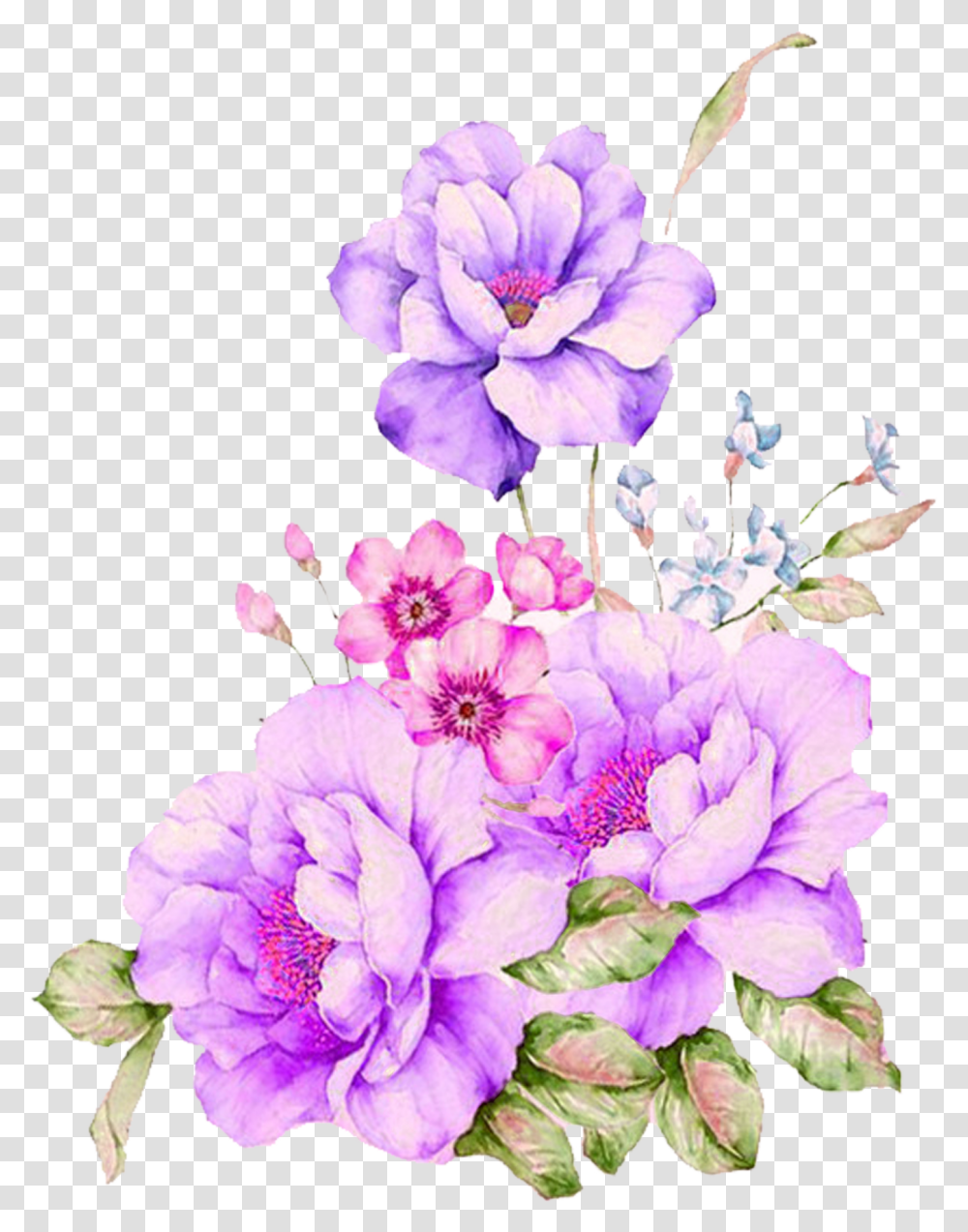 Watercolour Watercolor Flowers Painting Watercolor Painting Flowers, Plant, Geranium, Blossom, Floral Design Transparent Png