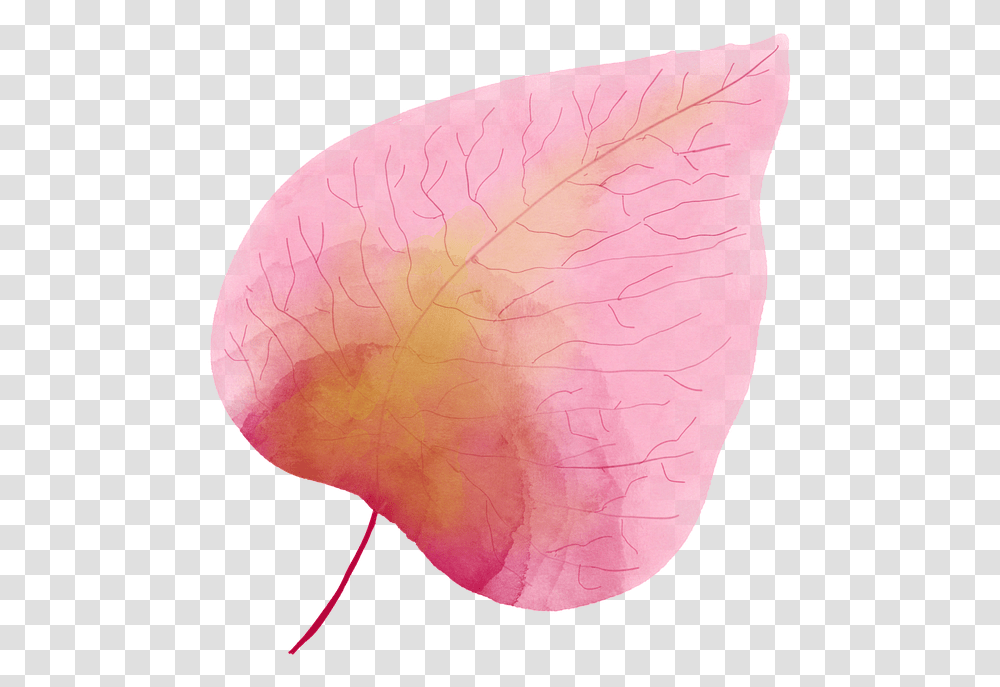 Watercolour Watercolor Leaf Pink Free Photo Watercolor Leaf Pink, Plant, Petal, Flower, Blossom Transparent Png