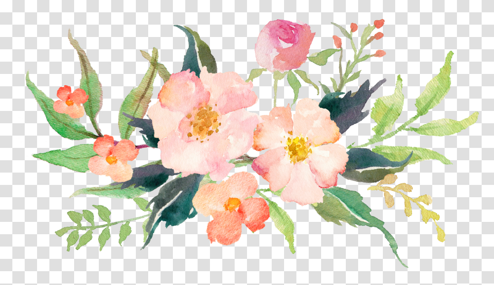 Watercolour Watercolor Tips Flowers Magnolia Pink Watercolor Flowers Clipart, Plant, Blossom, Pollen, Peony Transparent Png