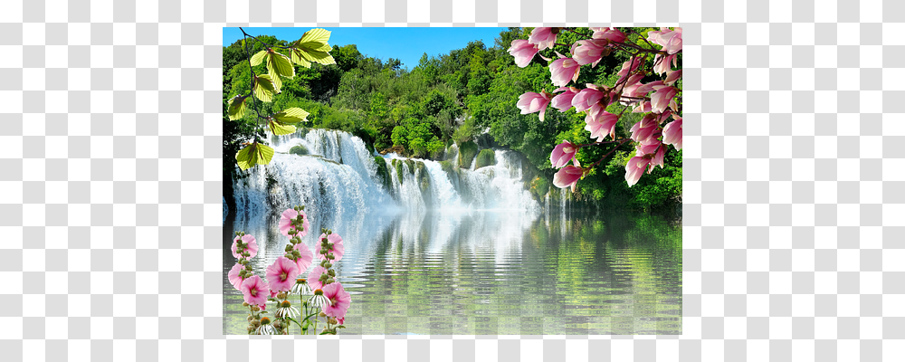 Waterfall Nature, Outdoors, Scenery, Plant Transparent Png