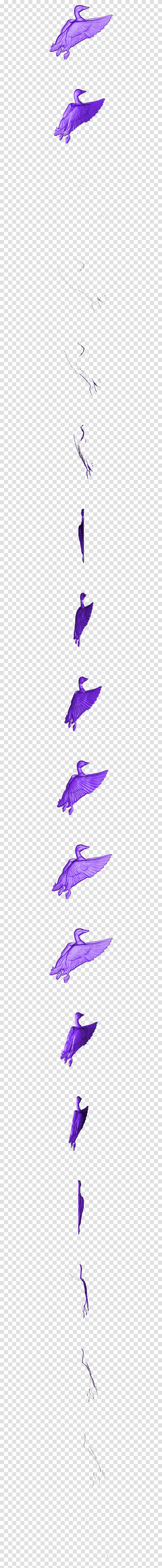 Waterfowl, Bird, Animal, Jay, Bluebird Transparent Png