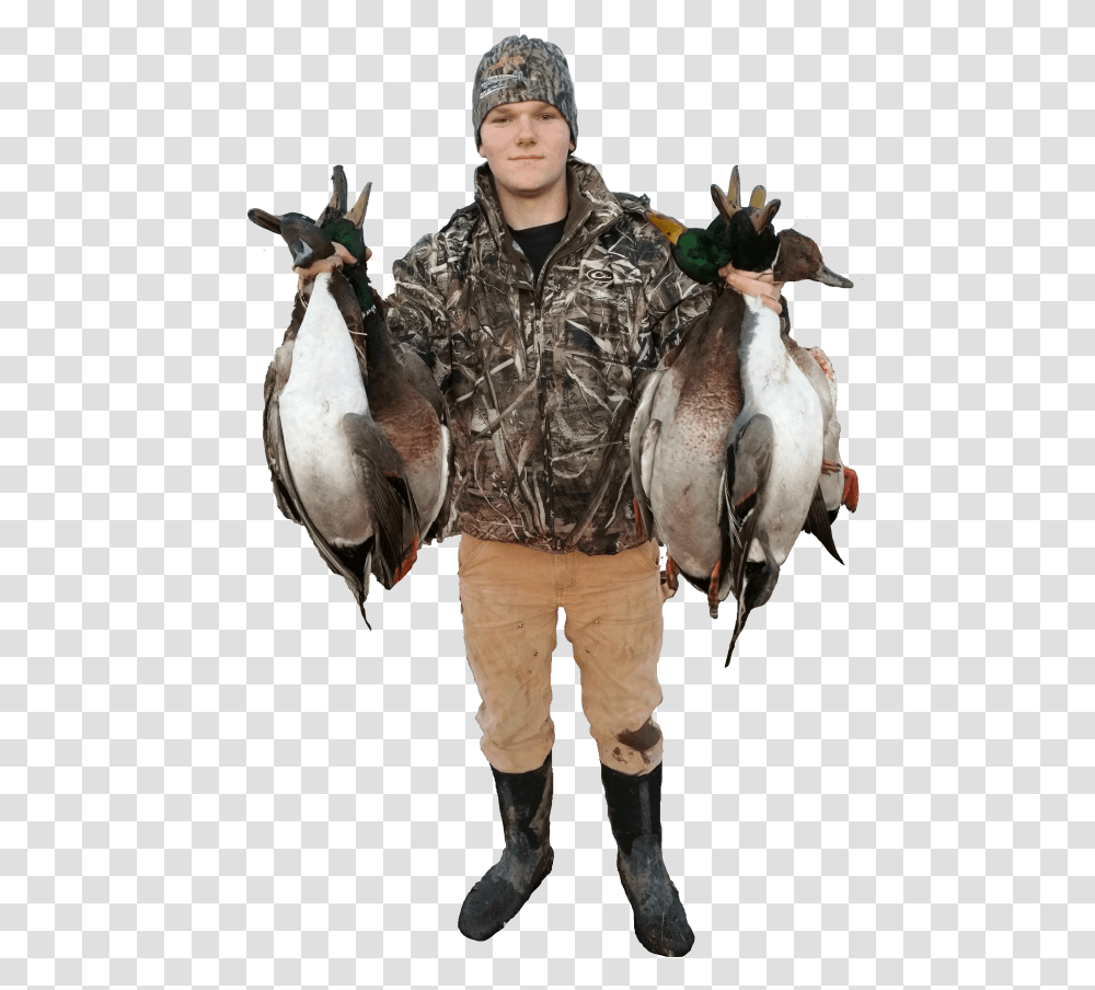 Waterfowl Hunting, Person, Human, Bird, Animal Transparent Png