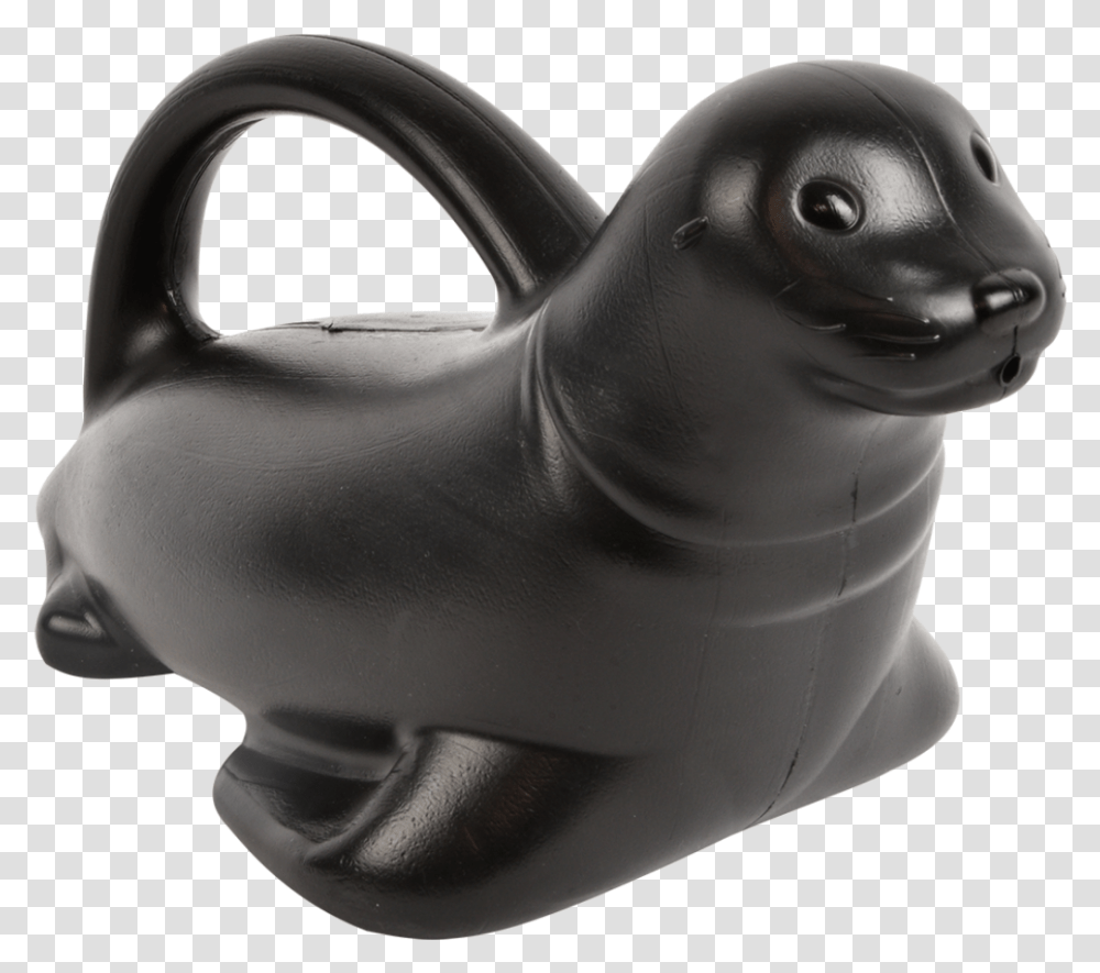 Watering Can Sea Lion, Dog, Pet, Canine, Animal Transparent Png