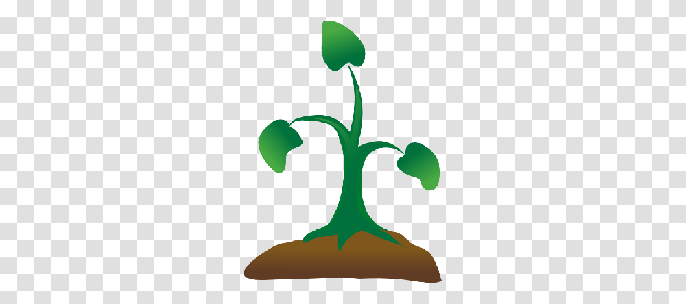 Watering Seeds Cliparts, Plant, Green, Vegetation, Bird Transparent Png