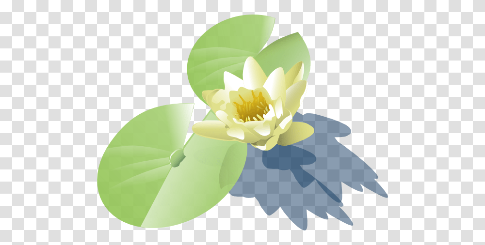 Waterlily Pad Clip Art, Plant, Petal, Flower, Blossom Transparent Png