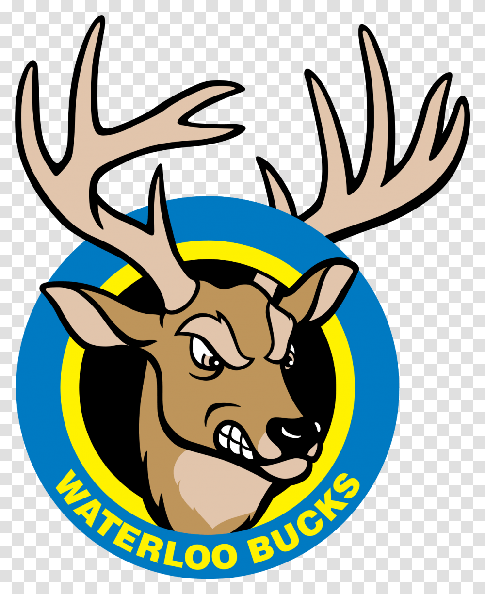 Waterloo Bucks Waterloo Bucks Baseball Logo, Antler, Deer, Wildlife, Mammal Transparent Png