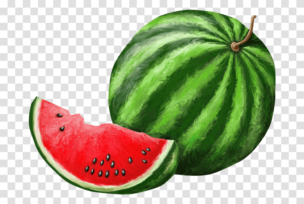 Watermelon Background Watermelon, Plant, Fruit, Food, Bird Transparent Png