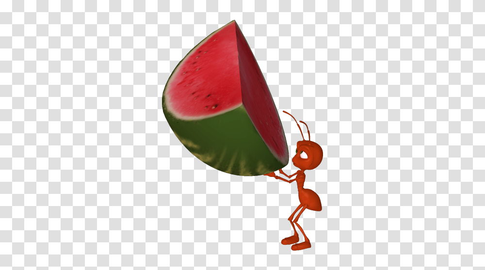 Watermelon Clipart Scared, Plant, Fruit, Food, Invertebrate Transparent Png