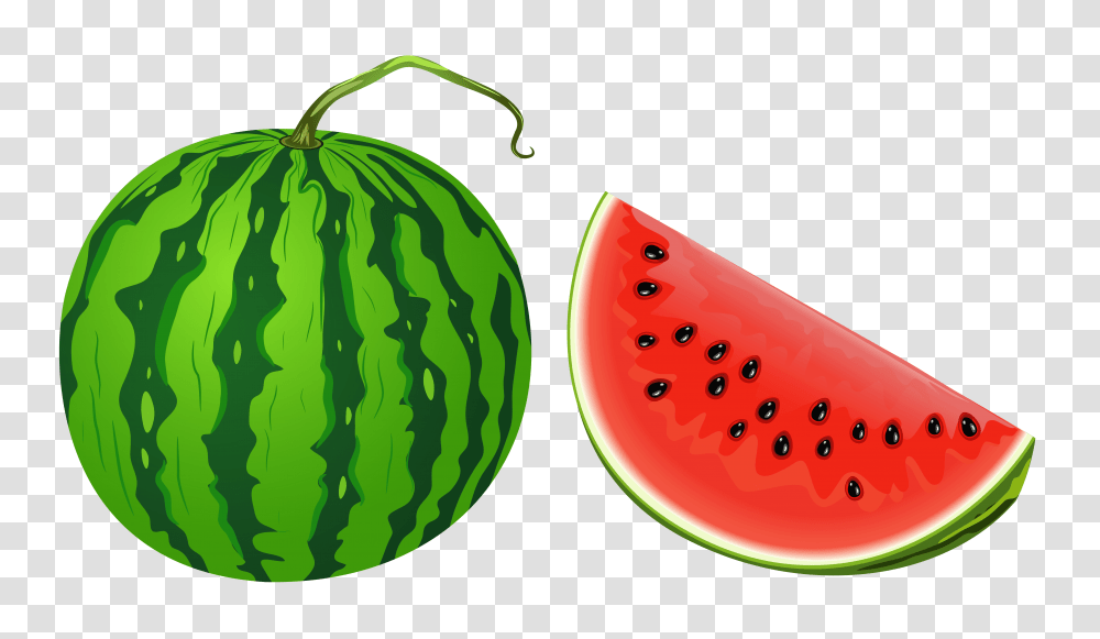 Watermelon Fruit Clip Art, Plant, Food Transparent Png