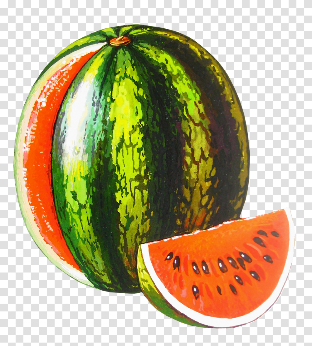 Watermelon, Fruit, Plant, Food Transparent Png