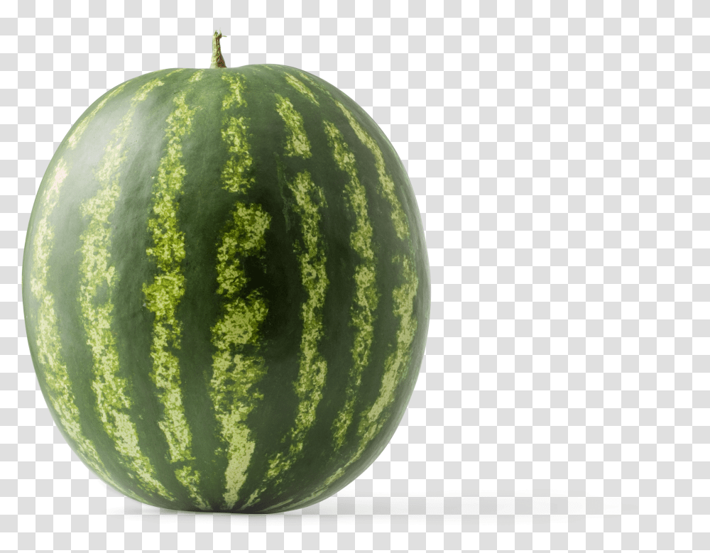 Watermelon Graphic Asset Watermelon Transparent Png