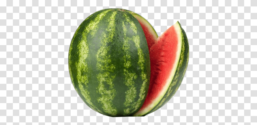 Watermelon Green Watermelon, Plant, Fruit, Food, Apple Transparent Png