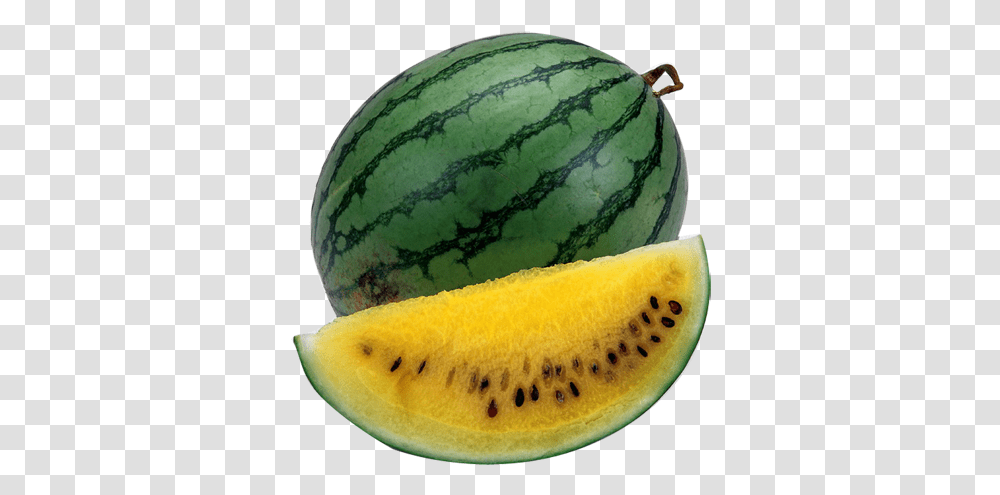 Watermelon Image Hd Mart Fruit Beginning With X, Plant, Food Transparent Png