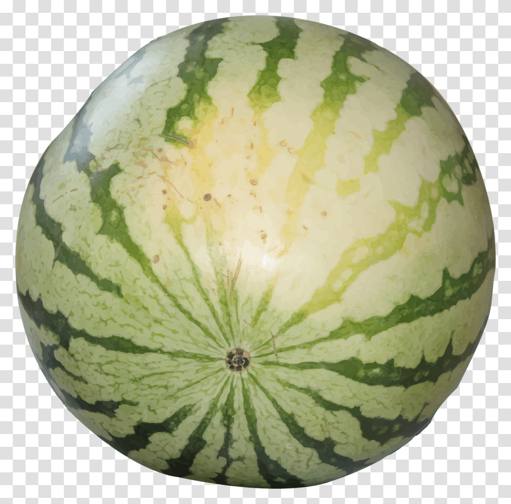 Watermelon Images Free Download, Fruit, Plant, Food, Egg Transparent Png