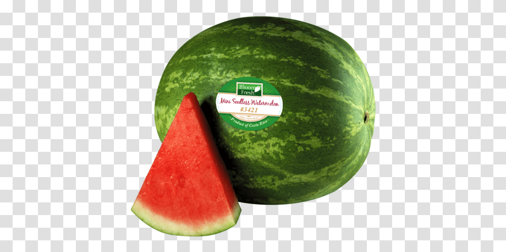 Watermelon Images Watermelon Clip Art, Plant, Fruit, Food, Tennis Ball Transparent Png