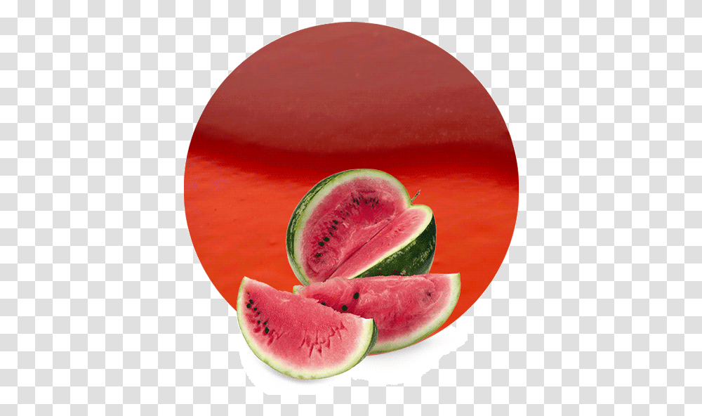 Watermelon Juice, Plant, Fruit, Food Transparent Png