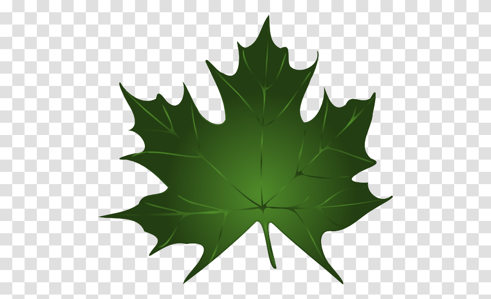 Watermelon Leaves Clipart Clip Art Images, Leaf, Plant, Tree, Maple Leaf Transparent Png