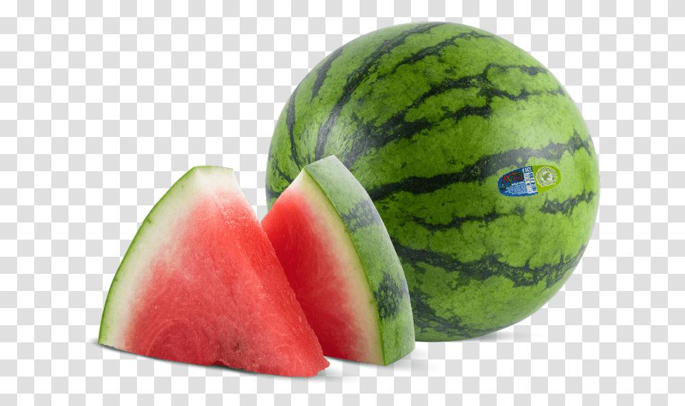 Watermelon, Plant, Fruit, Food, Apple Transparent Png
