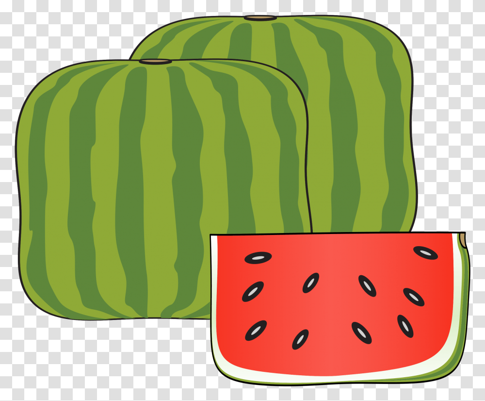 Watermelon, Plant, Fruit, Food, Cucumber Transparent Png