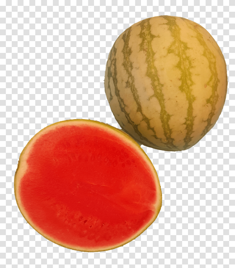 Watermelon, Plant, Fruit, Food, Egg Transparent Png