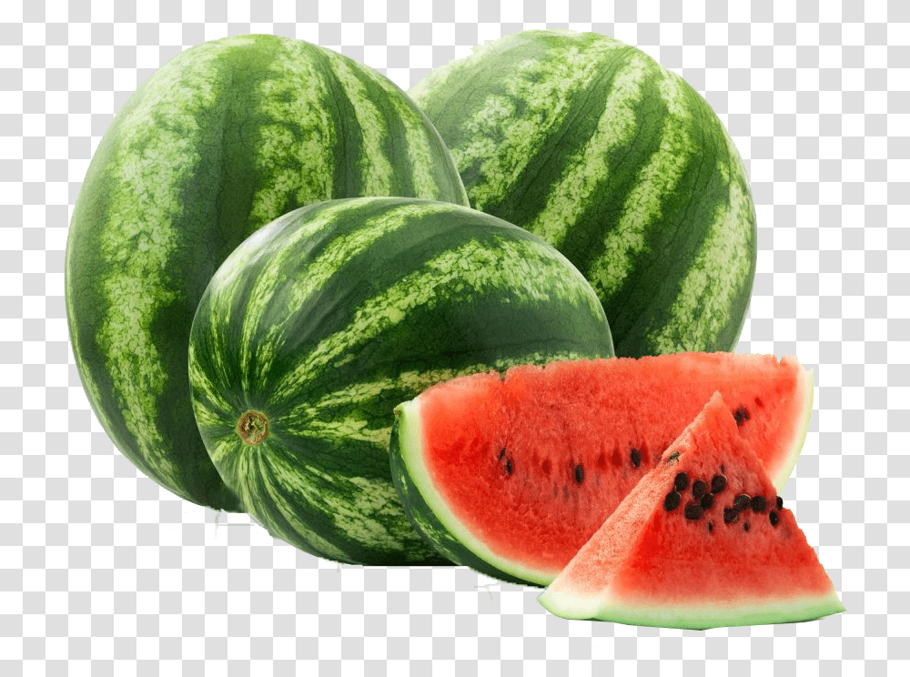 Watermelon, Plant, Fruit, Food, Fungus Transparent Png