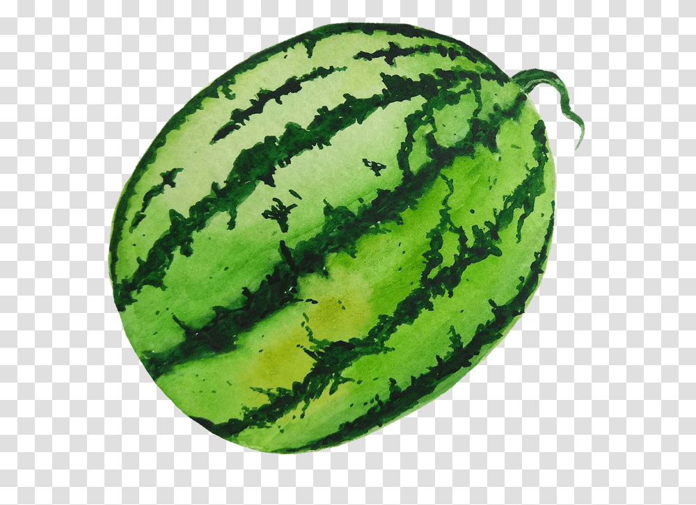 Watermelon, Plant, Fruit, Food, Pineapple Transparent Png