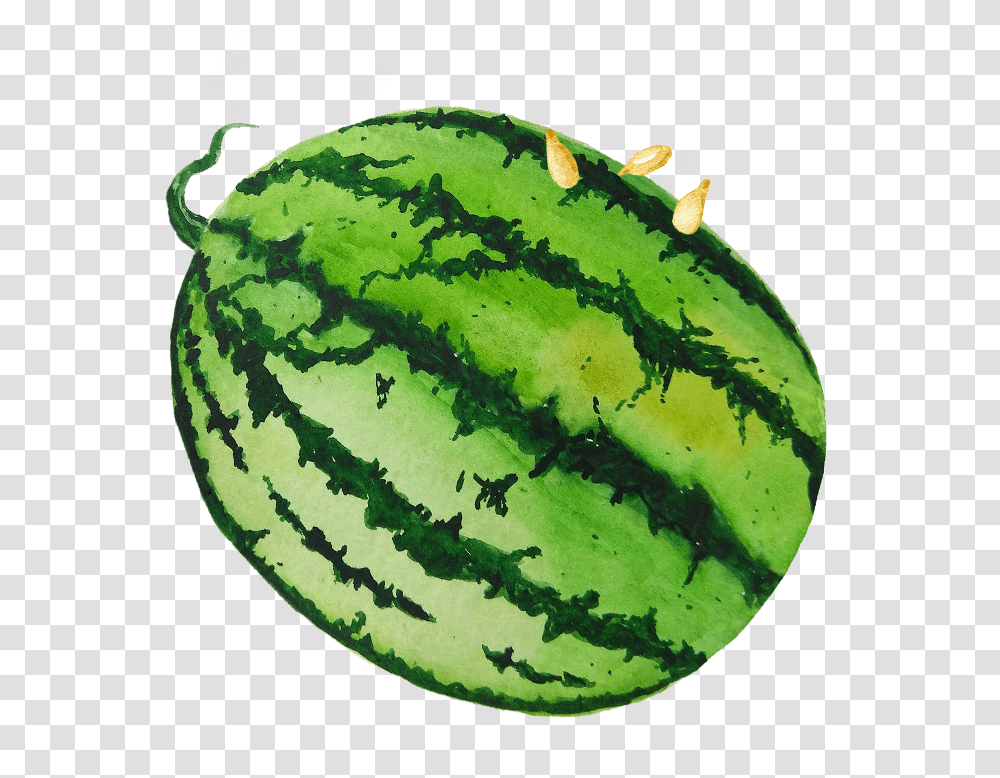 Watermelon, Plant, Fruit, Food, Pineapple Transparent Png