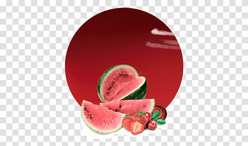 Watermelon, Plant, Fruit, Food Transparent Png