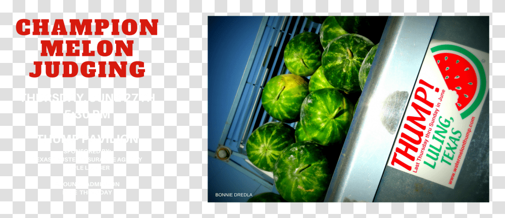 Watermelon, Plant, Fruit, Food Transparent Png