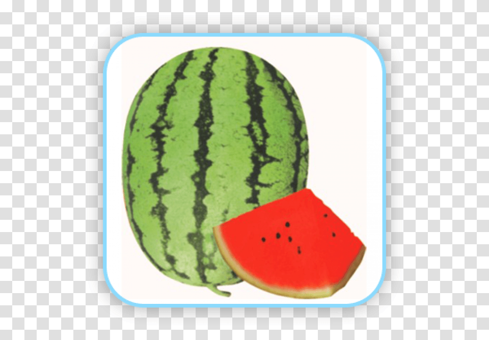 Watermelon, Plant, Fruit, Food Transparent Png