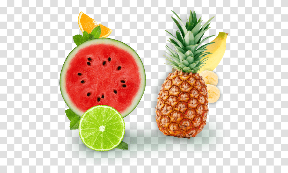 Watermelon, Plant, Pineapple, Fruit, Food Transparent Png