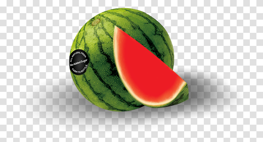 Watermelon, Plant, Tennis Ball, Sport, Sports Transparent Png