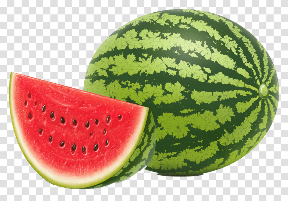 Watermelon Seed Fruit Vegetable Watermelon Hd Background Transparent Png