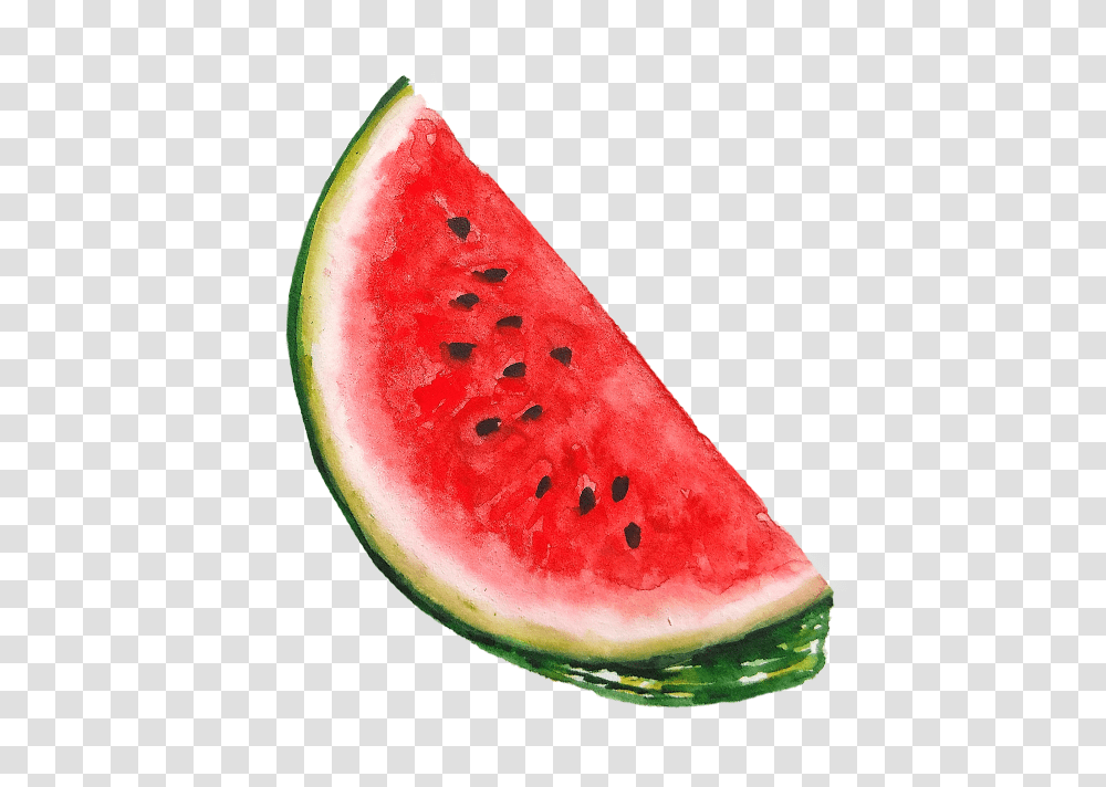 Watermelon Seed, Plant, Fruit, Food Transparent Png