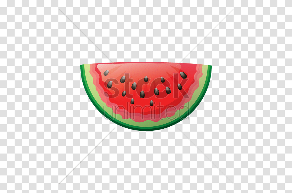 Watermelon Slice Vector Image, Plant, Bow, Fruit, Food Transparent Png