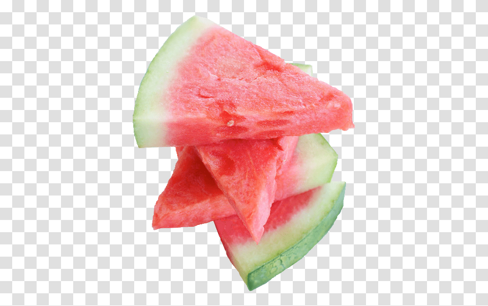 Watermelon Tumblr, Plant, Fruit, Food, Rose Transparent Png