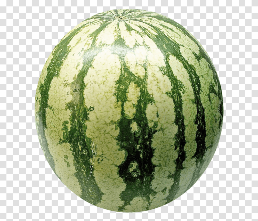 Watermelon Vector Watermelon, Plant, Fruit, Food, Moon Transparent Png