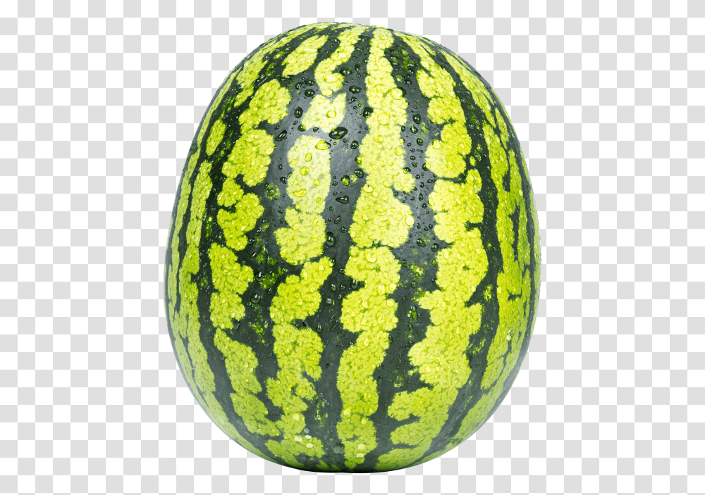 Watermelon Watermelon Manipulation In Photoshop, Plant, Fruit, Food, Rug Transparent Png
