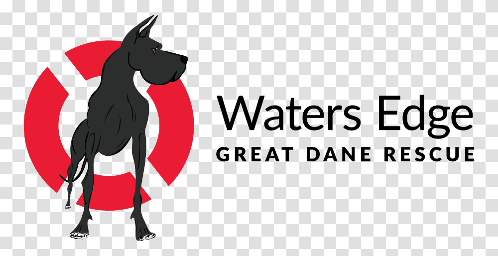 Waters Edge Great Dane Rescue, Pet, Animal, Mammal Transparent Png