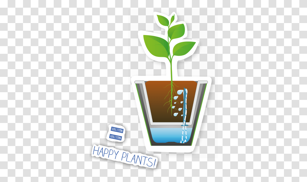 Waterwick, Plant, Soil, Green Transparent Png