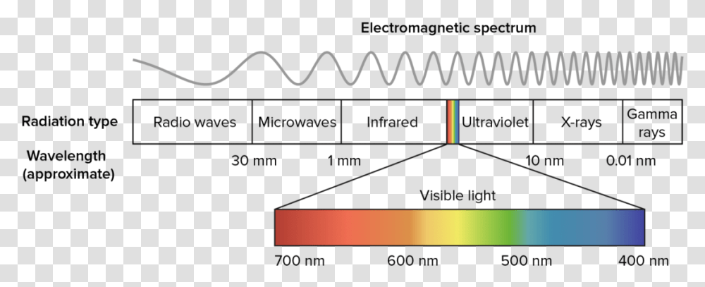 Wavelengths Of Light, Plot, Diagram, Plan Transparent Png