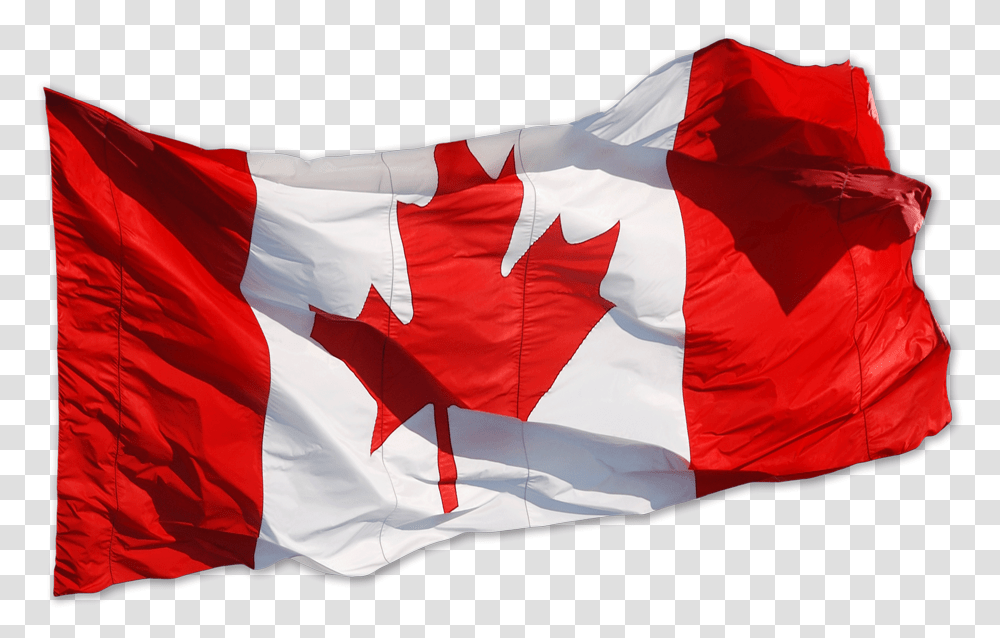 Waving Canadian Flag Drivers Jobs In Canada, American Flag Transparent Png