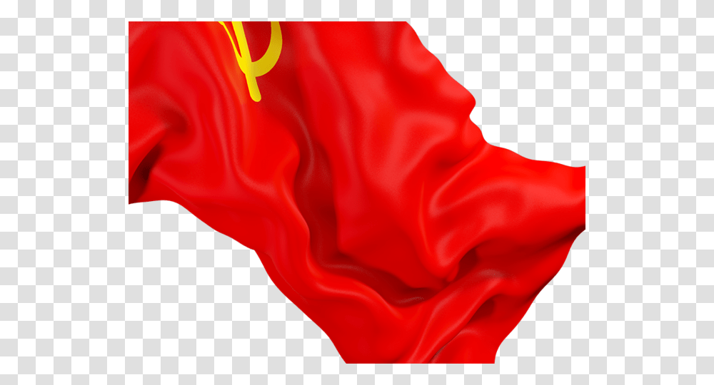 Waving Flag Closeup Illustration Of Flag Of Soviet Union, Plant, Person, Human, Flower Transparent Png